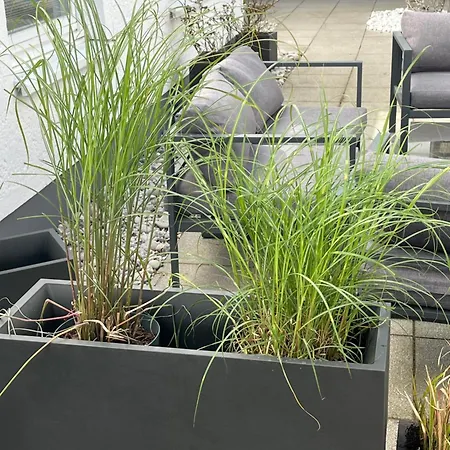 Mit Garten Appartamento *